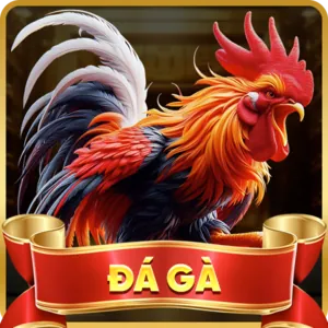 Đá gà trực tuyến hi8823 info