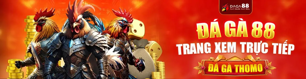 Đá gà trực tuyến hi8823 info uy tín hàng đầu